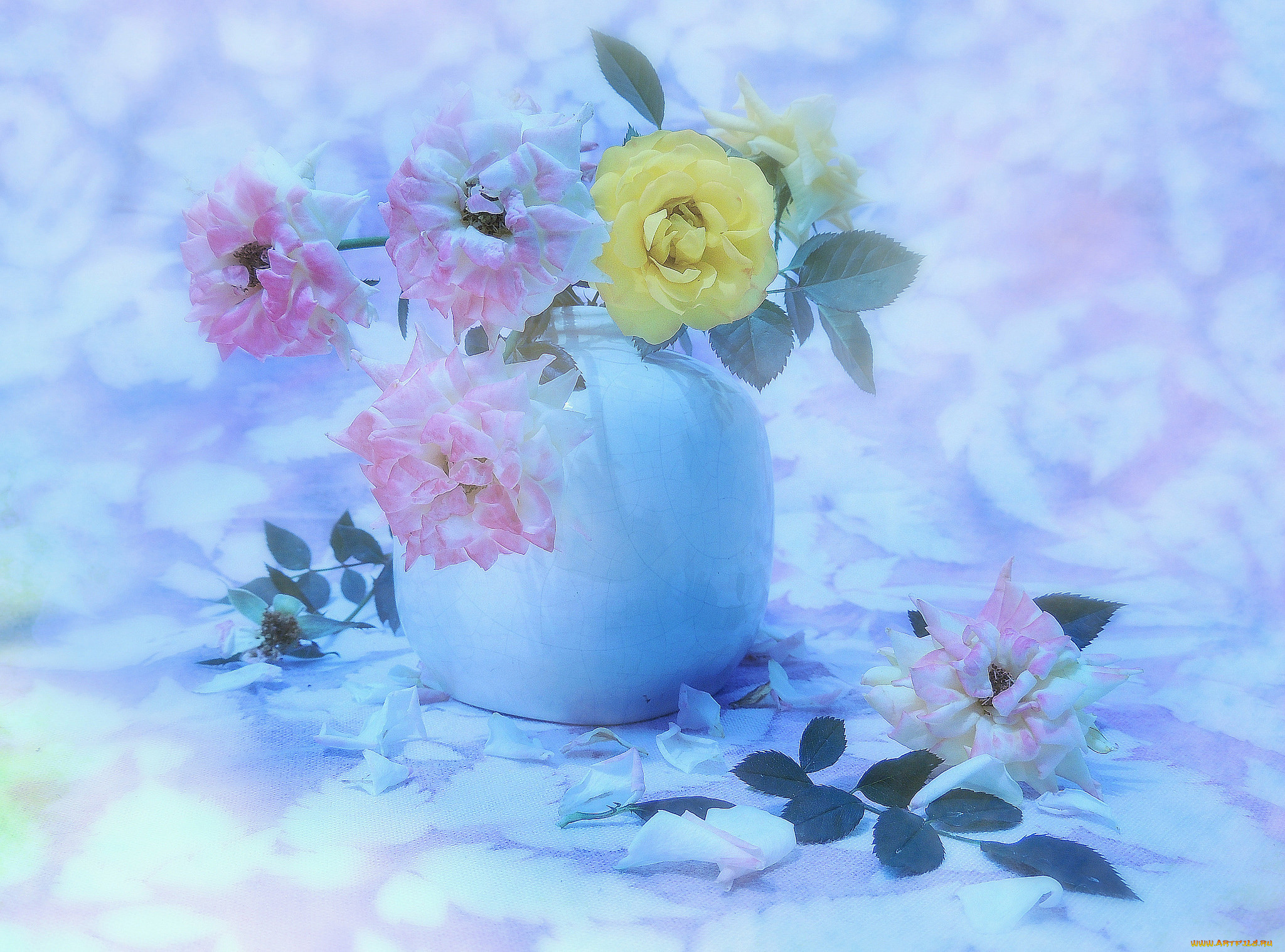 , , , , 